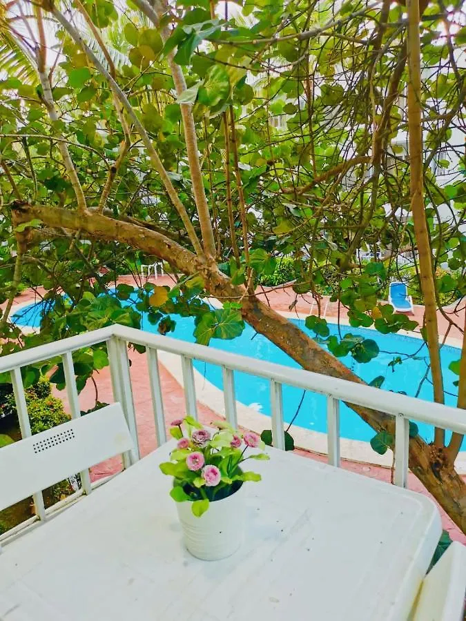 Sol Caribe Luxury Beach Suites With Pool And Beach Club Punta Cana Hotel