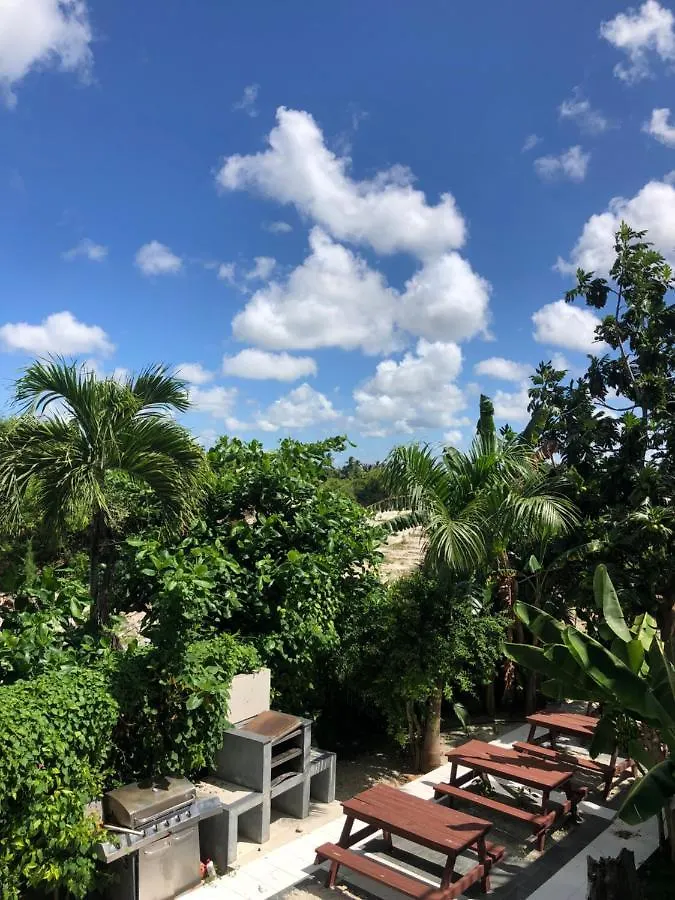Sol Caribe Luxury Beach Suites With Pool And Beach Club Punta Cana Hotel