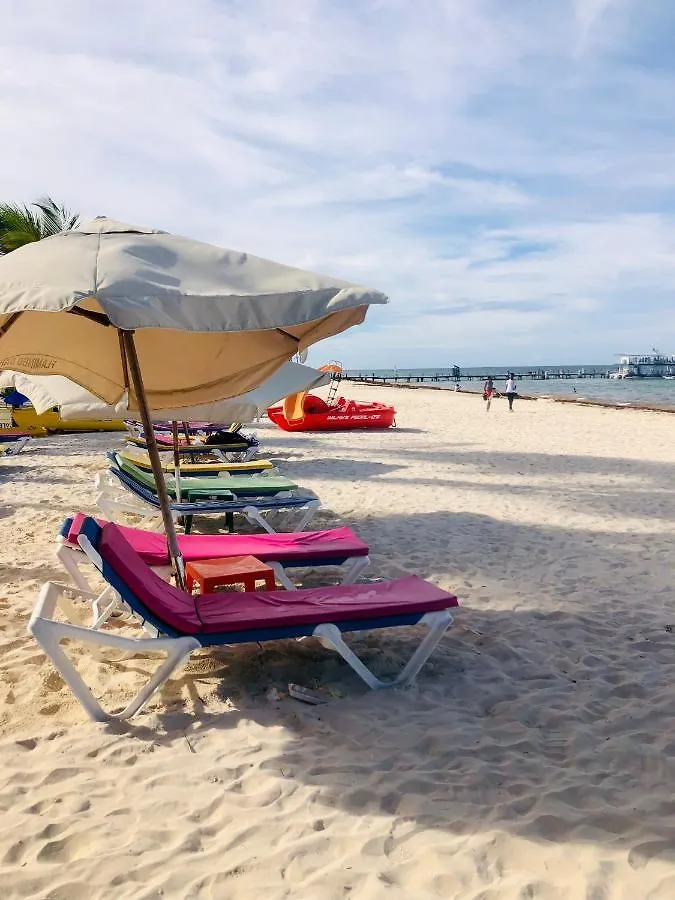 Hotel Sol Caribe Luxury Beach Suites With Pool And Beach Club Punta Cana